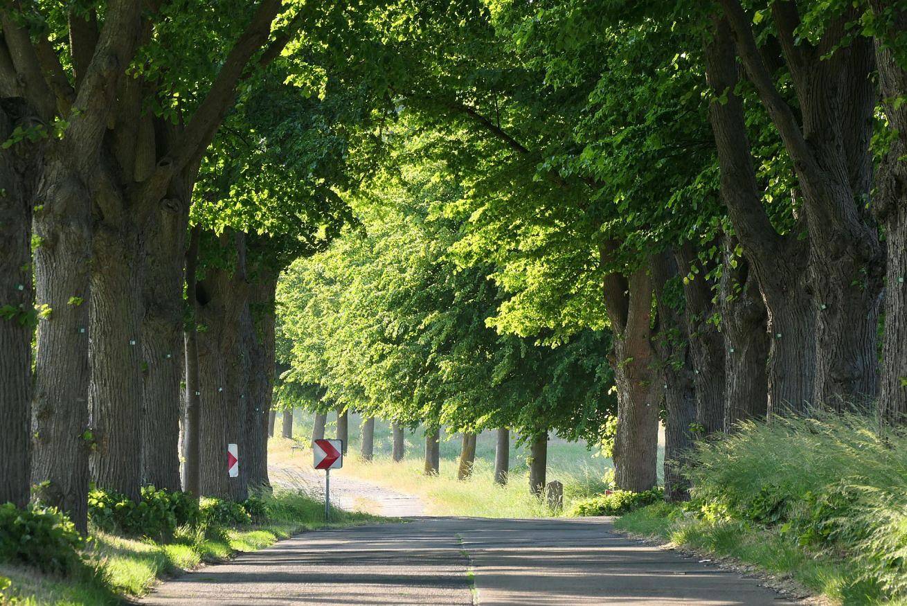 Ganze Wohnung, Ferienwohnung für 8 Personen mit Garten in Sassari Provinz