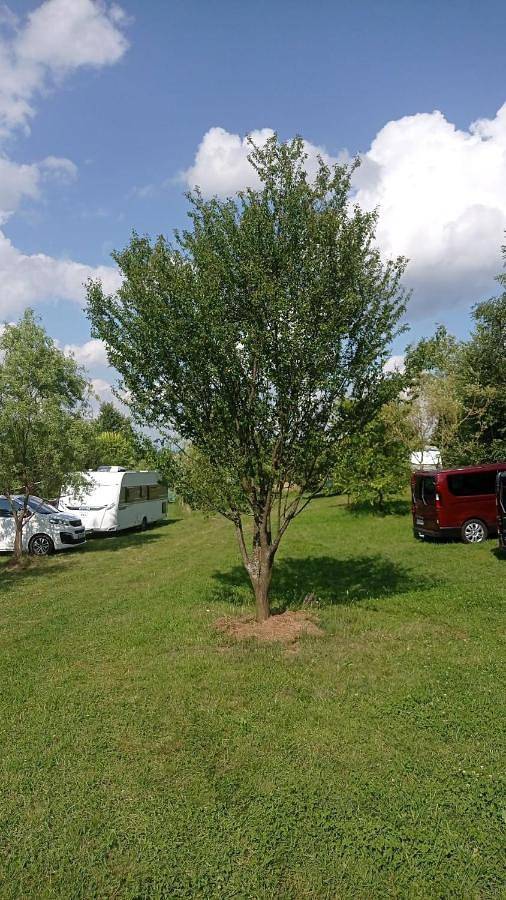 Gîte pour 2 personnes, avec jardin et vue dans Breb - 2