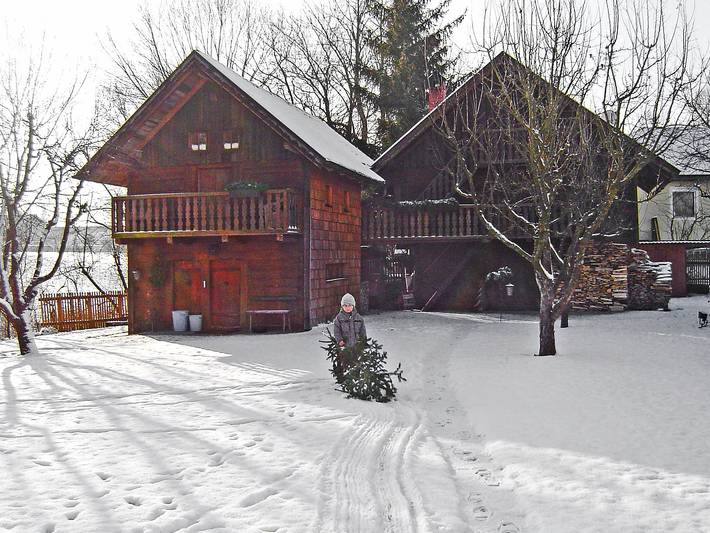 Ferienhaus für 6 Personen, mit Garten und Balkon sowie Ausblick in Oberösterreich