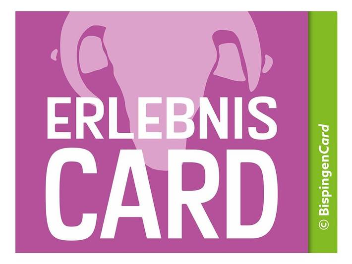 Ferienhaus für 3 Personen, mit Terrasse und Garten in Walsrode - 4