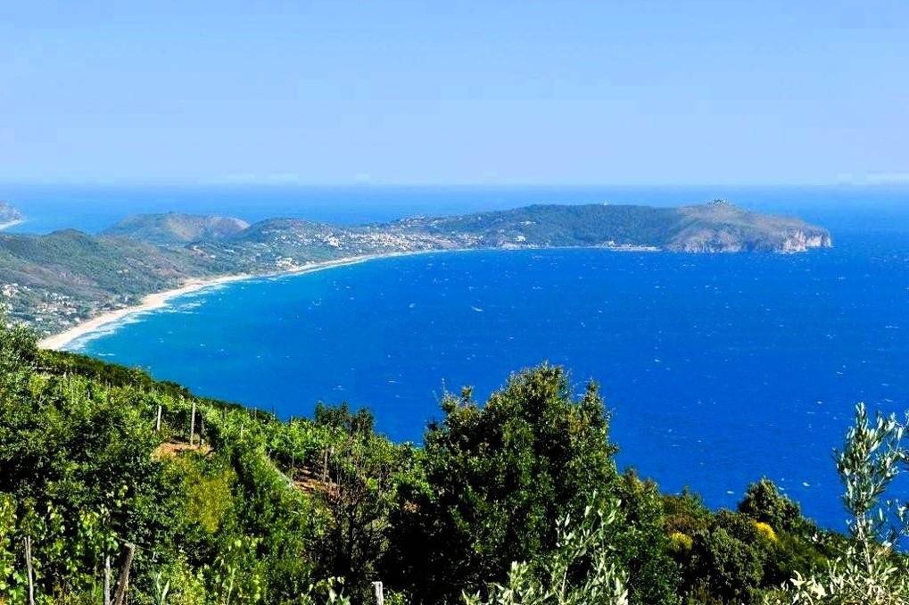 Casa degli Ulivi in Pisciotta, Cilento