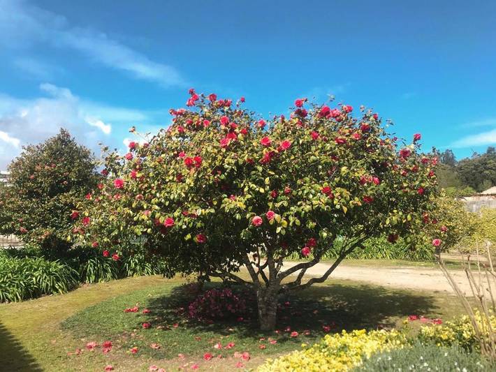 Gîte pour 4 personnes, avec terrasse et vue ainsi que jardin et piscine à Coimbra - 3