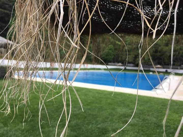Apartamento entero, Casa Rural La Zzinetina con Jacuzzi in Constantina, Sierra Morena