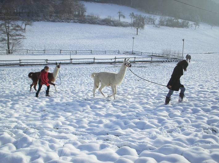 Kempfenhof - Zum Austrag in Seelbach, Mittlerer Schwarzwald