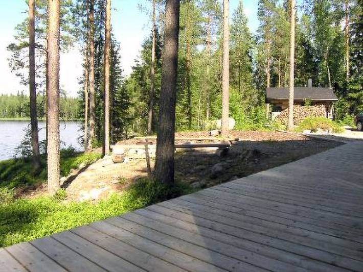 Puolukka in Eräkorpi, Nord-Savo