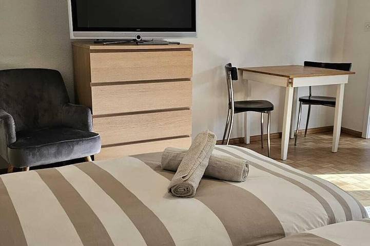 Ferienwohnung für 30 Personen, mit Haustier in Basel - 3