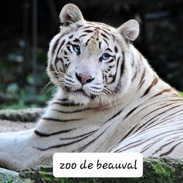 Location de vacances pour 4 personnes, avec terrasse dans Gare De Saint Aignan Noyers