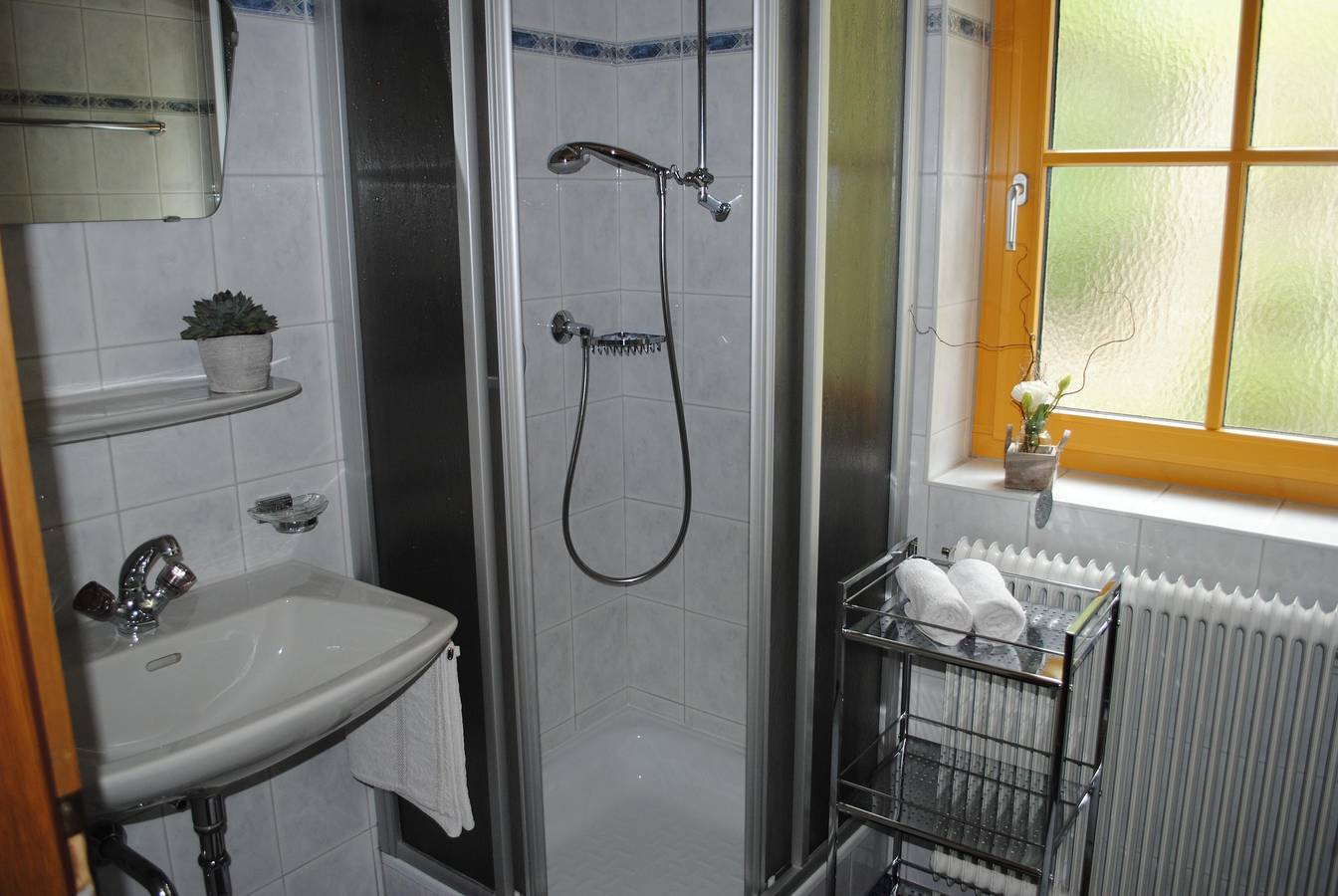 Entire holiday apartment, Apartment/1 bedroom/shower, Wc in Lechtal Alps, Sankt Anton am Arlberg