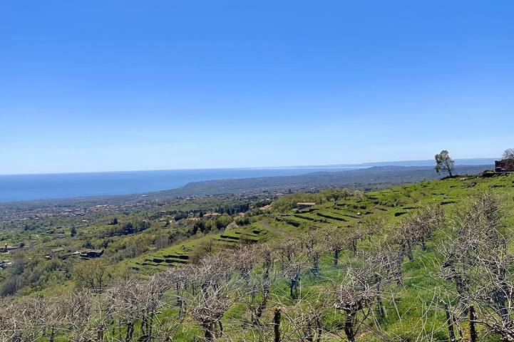 Maison de vacances pour 6 personnes, avec jardin - 1
