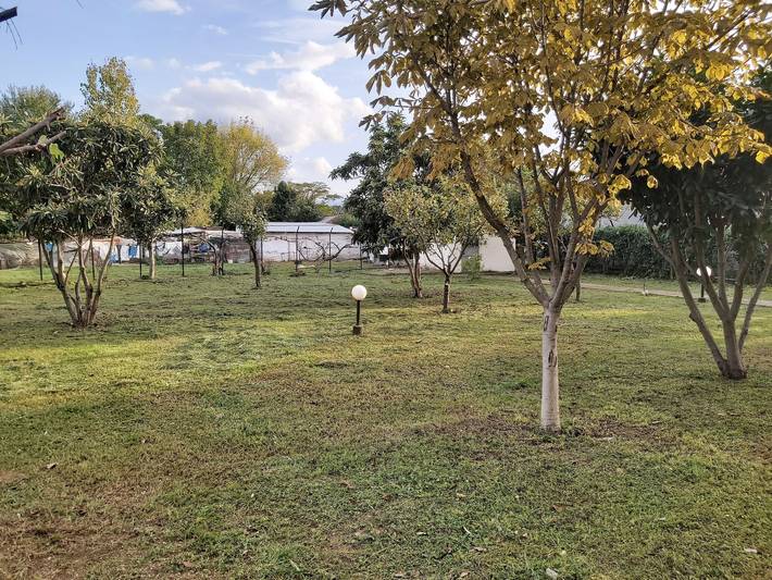 Ganze Wohnung, Villa residenz sofia in Fiki, Trikala, Trikala und Umgebung