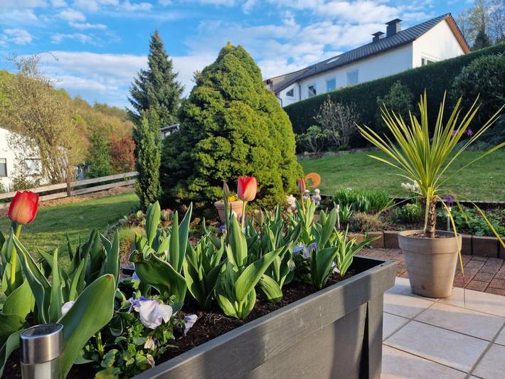 Ferienwohnung für 7 Personen, mit Terrasse in Lügde - 2