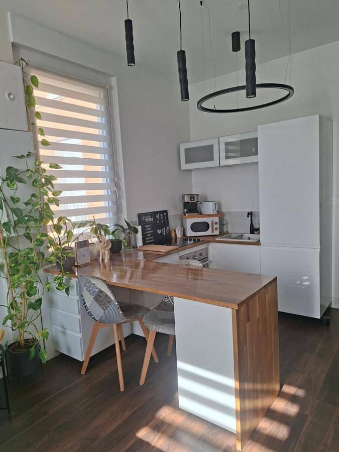 Gîte pour 2 personnes, avec jardin et jacuzzi dans Saint-Étienne - 4