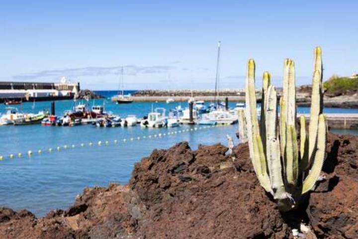 Ganze Wohnung, Ferienwohnung für 4 Personen mit Terrasse in La Restinga, El Pinar de El Hierro