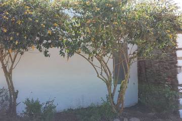 Gîte pour 4 personnes à l' Île d'Yeu