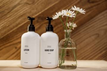 Camping for 3 Guests in Woodstock (NH), White Mountain National Forest, Picture 2