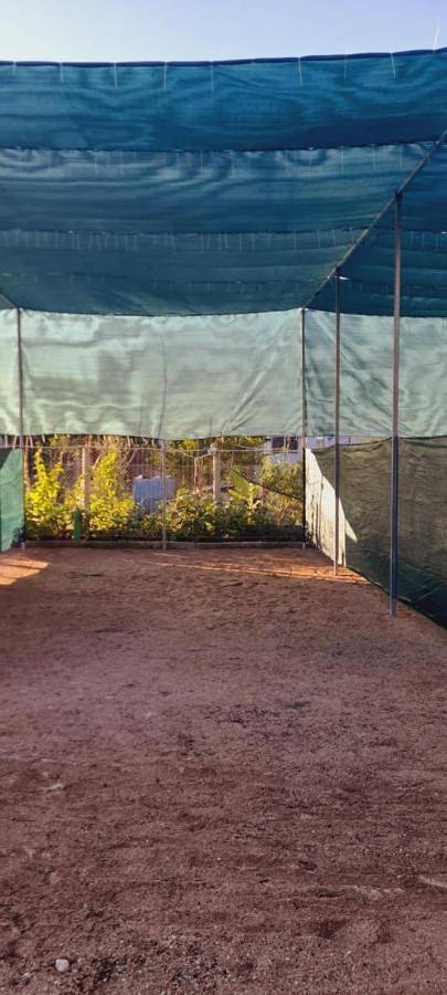 Camping pour 4 personnes, avec vue, animaux acceptés