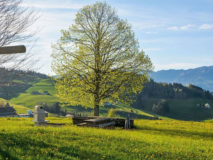 Panoramablick - Panoramablick 100.1 in Haslen AI, Schlatt-Haslen