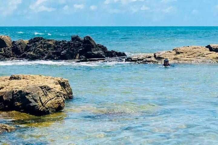 Casas e apartamentos de temporada para 4 pessoas, com jardim e vista em Lauro de Freitas