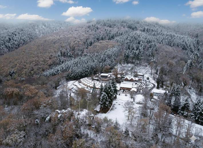 Location de vacances pour 8 personnes, avec jardin ainsi que vue et piscine, animaux acceptés à Wattwiller - 2