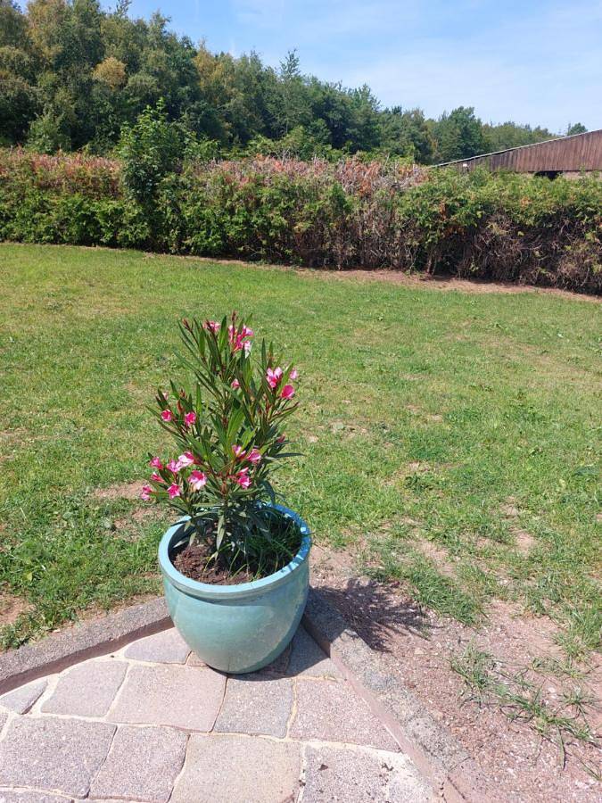 Four-Bedroom House in Nettersheim, Naturpark Hohes Venn-Eifel
