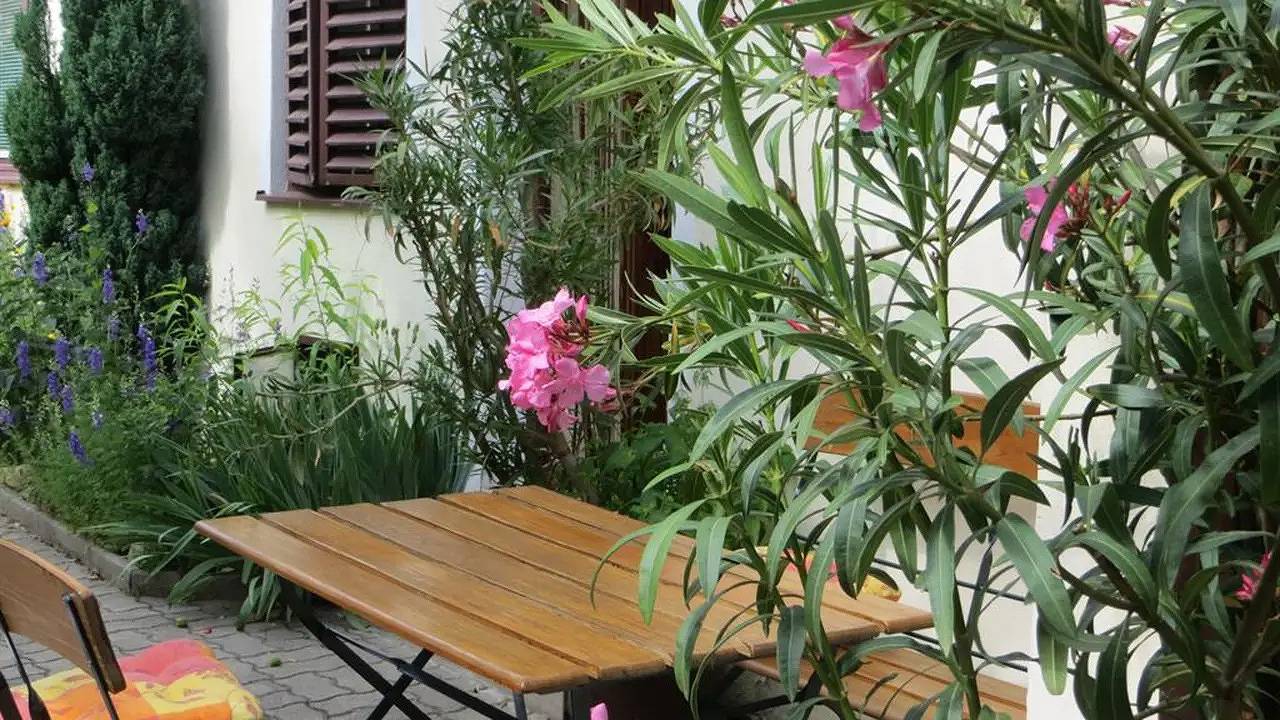 Ganze Ferienwohnung, Ferienwohnung für 2 Personen (70 m²) in Mörbisch am See in Mörbisch am See, Leithaberg