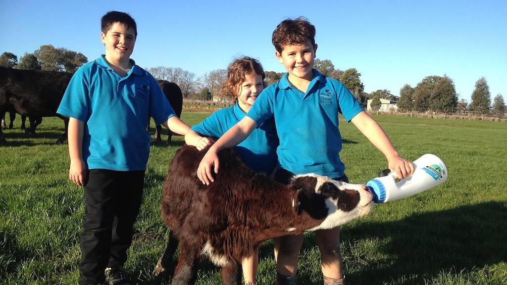 Jackaleah Farm bleiben Oxley in Rural City of Wangaratta