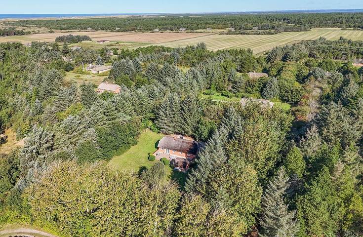 Villa für 6 Personen, mit Sauna und Whirlpool, mit Haustier in Vester Husby - 2