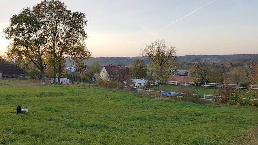 Ferienwohnung für 5 Personen, mit Balkon/Terrasse und Terrasse in Romantische Straße - 2