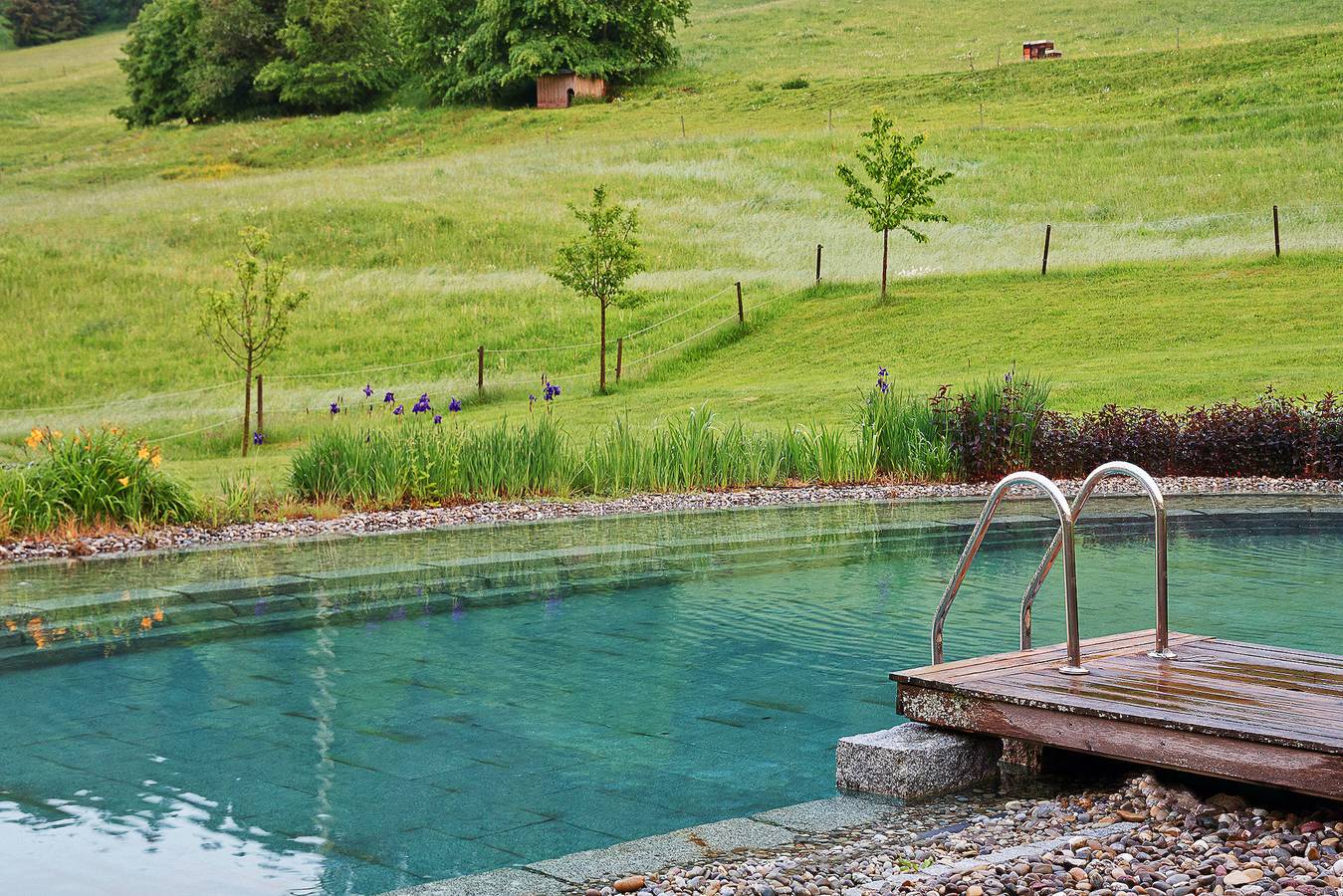 Hotel Gasthof Sommerau - Junior Suite in Bonndorf im Schwarzwald, Südschwarzwald