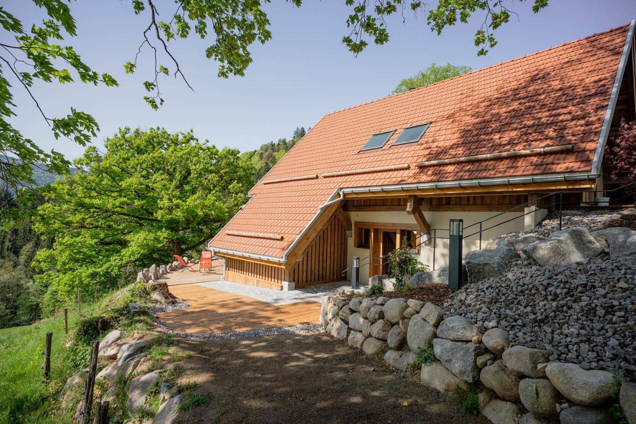 Chalet in Metzeral, Parc naturel régional des Ballons des Vosges