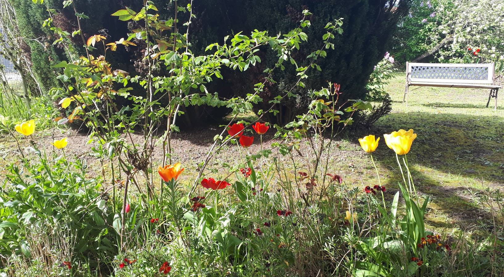 Les Ecureuils Bourguignons - Chambre in Montchanin, Chalon-sur-Saône region