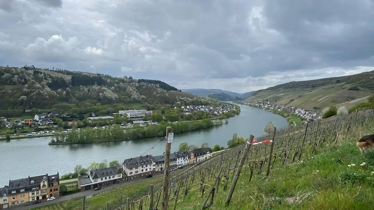 Ferienhaus für 4 Personen (95 m²) in Zell (Mosel) in Zell Stadt (Mosel), Zell (Mosel)