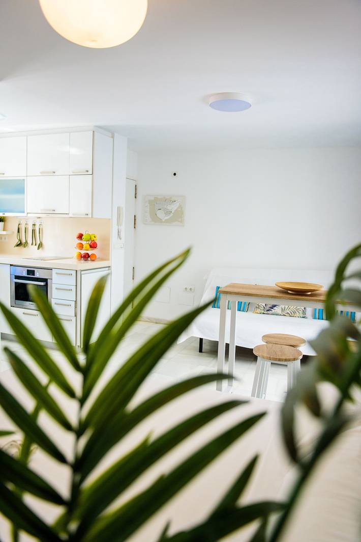 Gîte pour 4 personnes, avec terrasse à Tarifa - 4