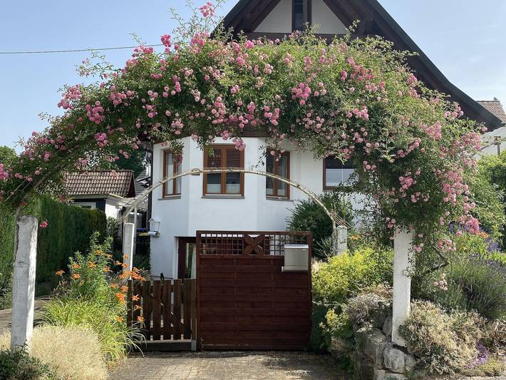Geheel appartement, Appartement 'Dalea' in Bad Waldsee, Region Bodensee-Oberschwaben