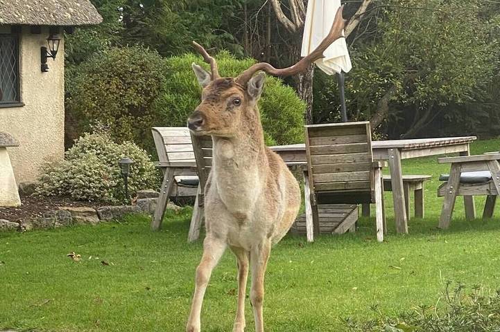 Holiday rental for 7 people, with garden, with pets in Burley