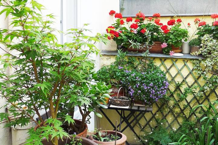 Ferienwohnung für 2 Personen, mit Terrasse - 1