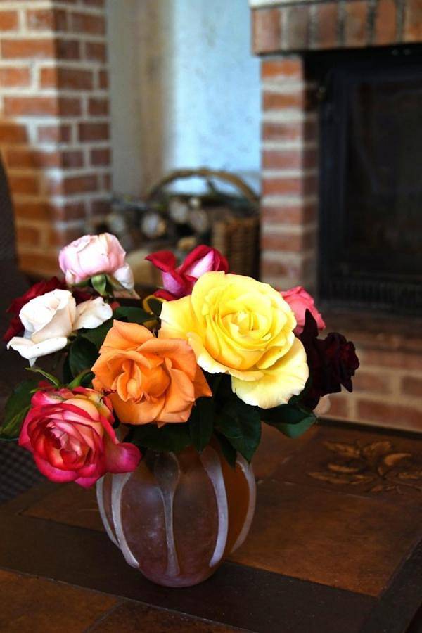 Location de vacances pour 8 personnes, avec vue et jardin à Labastide-de-Lévis - 4