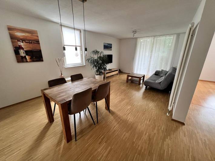 Ganze Wohnung, Ferienwohnung 'Tobi's Ferienapartment' mit privater Terrasse und WLAN in Gottmadingen, Hegau