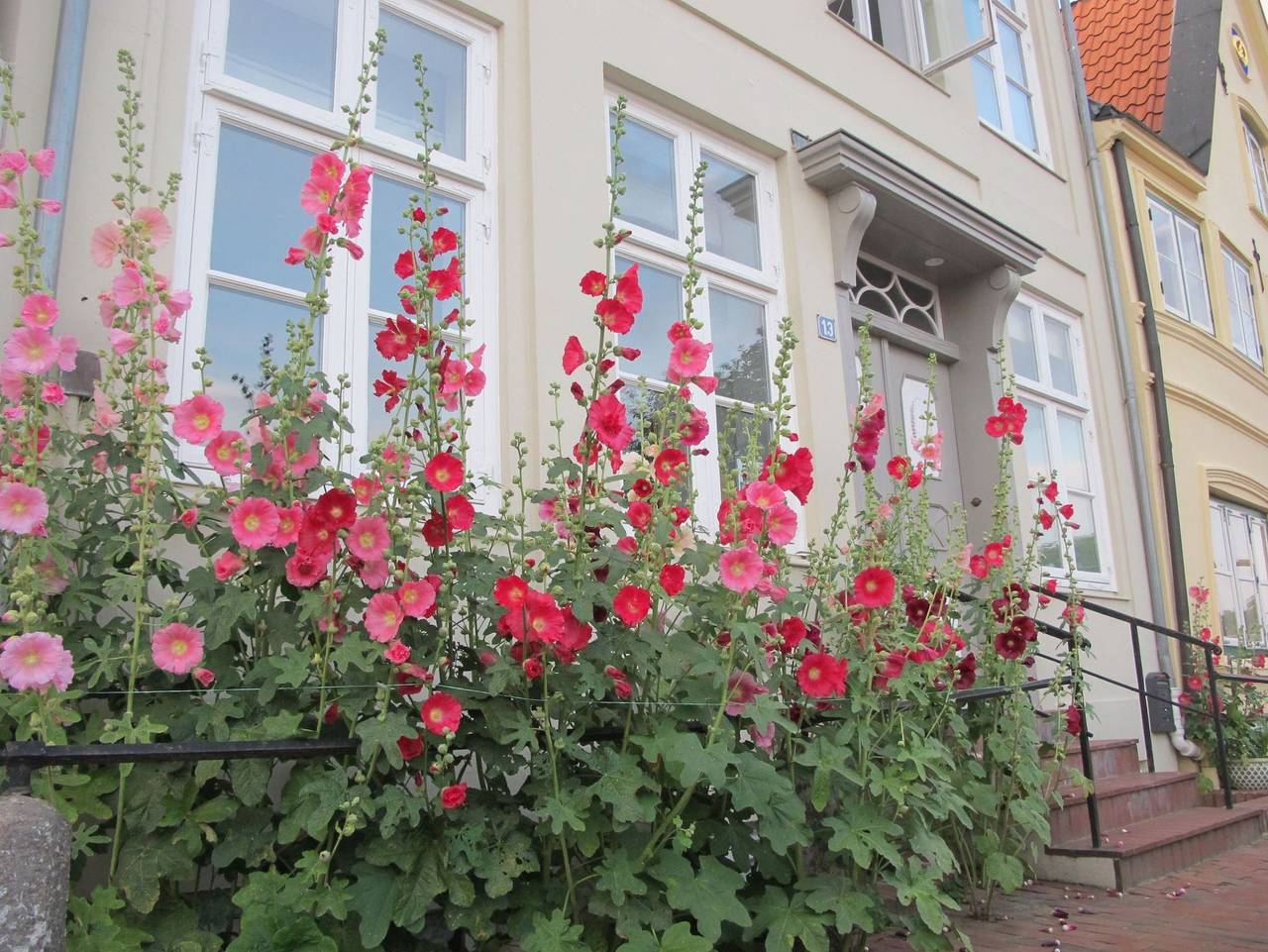 Am Hafen 13 - Ferienhaus in Glückstadt, Kreis Steinburg
