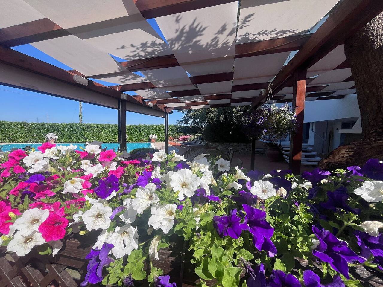 Villapronti in Santarcangelo di Romagna, Rimini Provinz