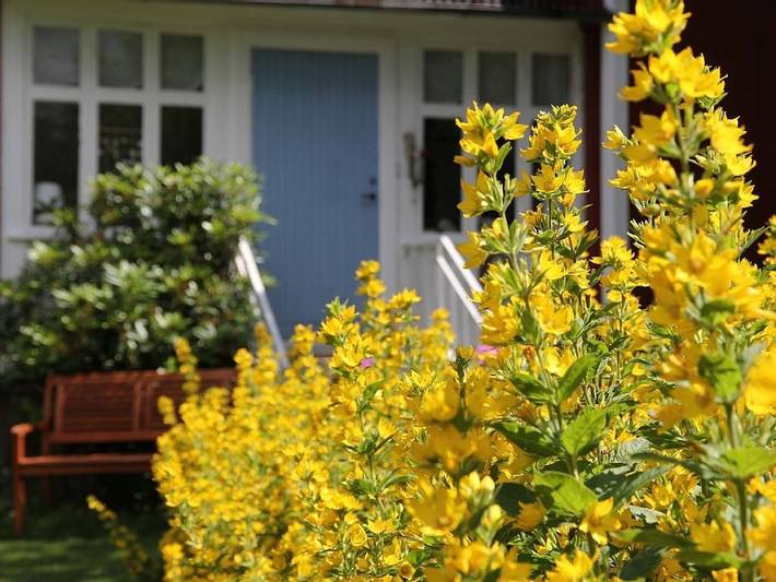 Ferienhaus in Torsas mit Schwimmbecken in Torsås und Umgebung