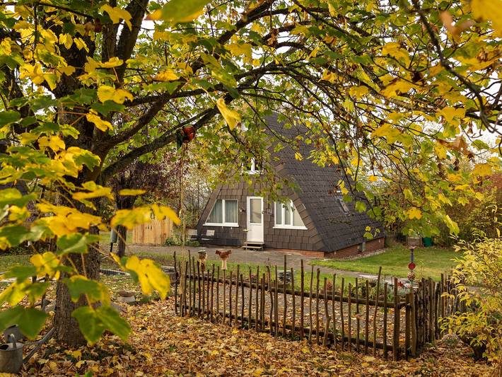 Ferienhaus für 4 Personen, mit Terrasse und Garten in Bestwig - 2