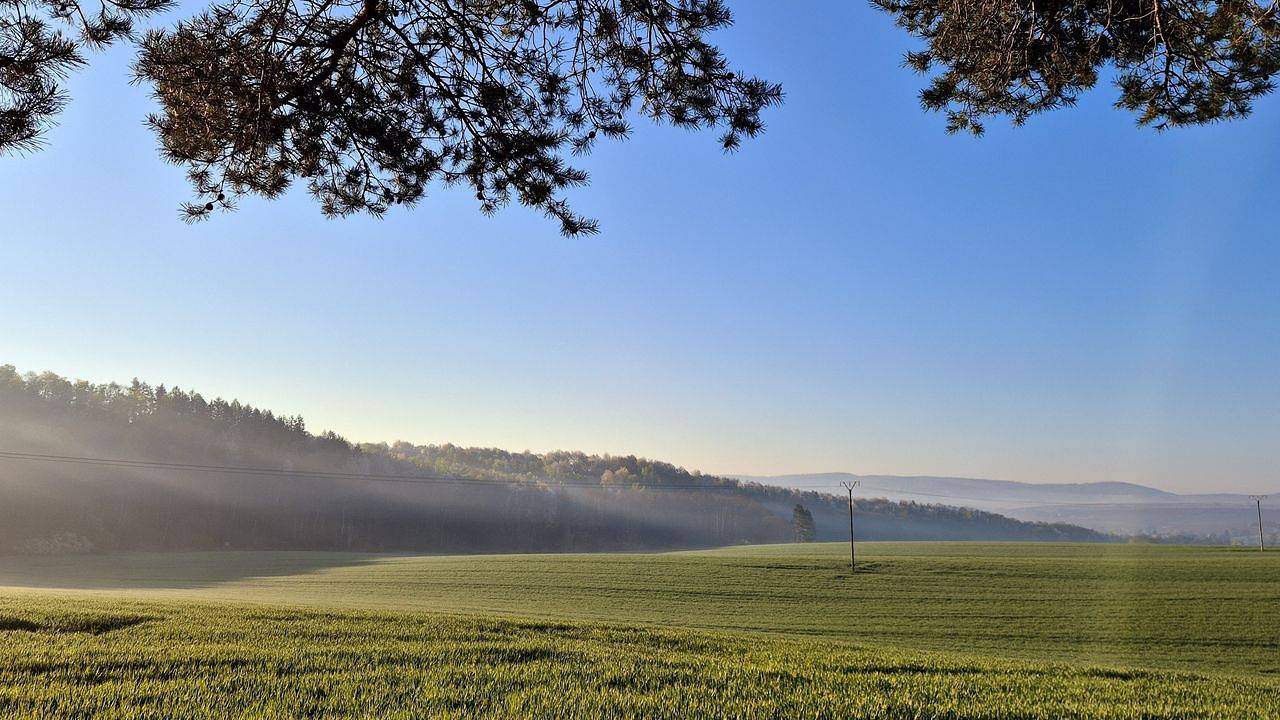 Ganze Ferienwohnung, Ferienapartment Haus am Grün 3 "Sunset" - Ruhe & Entspannung mitten in der Natur in Herzberg am Harz, Harzvorland