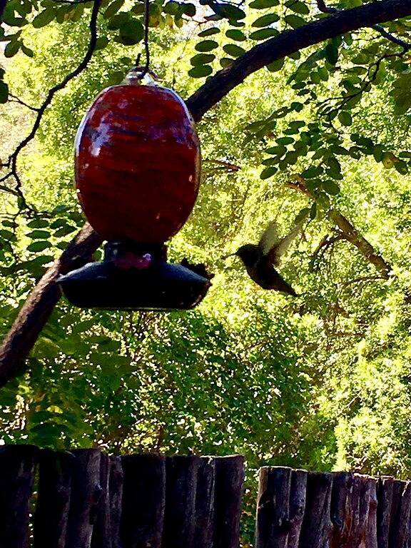 Ganze Wohnung, Gemütliche Casa Carmelita verfügt über einen Brilliant Kiva Kamin, Unique Patio & Hot Tub! in Taos, Taos County
