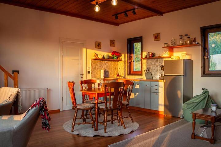 Gîte pour 5 personnes, avec piscine et terrasse ainsi que jardin et vue, animaux acceptés dans Cluj-Napoca - 4