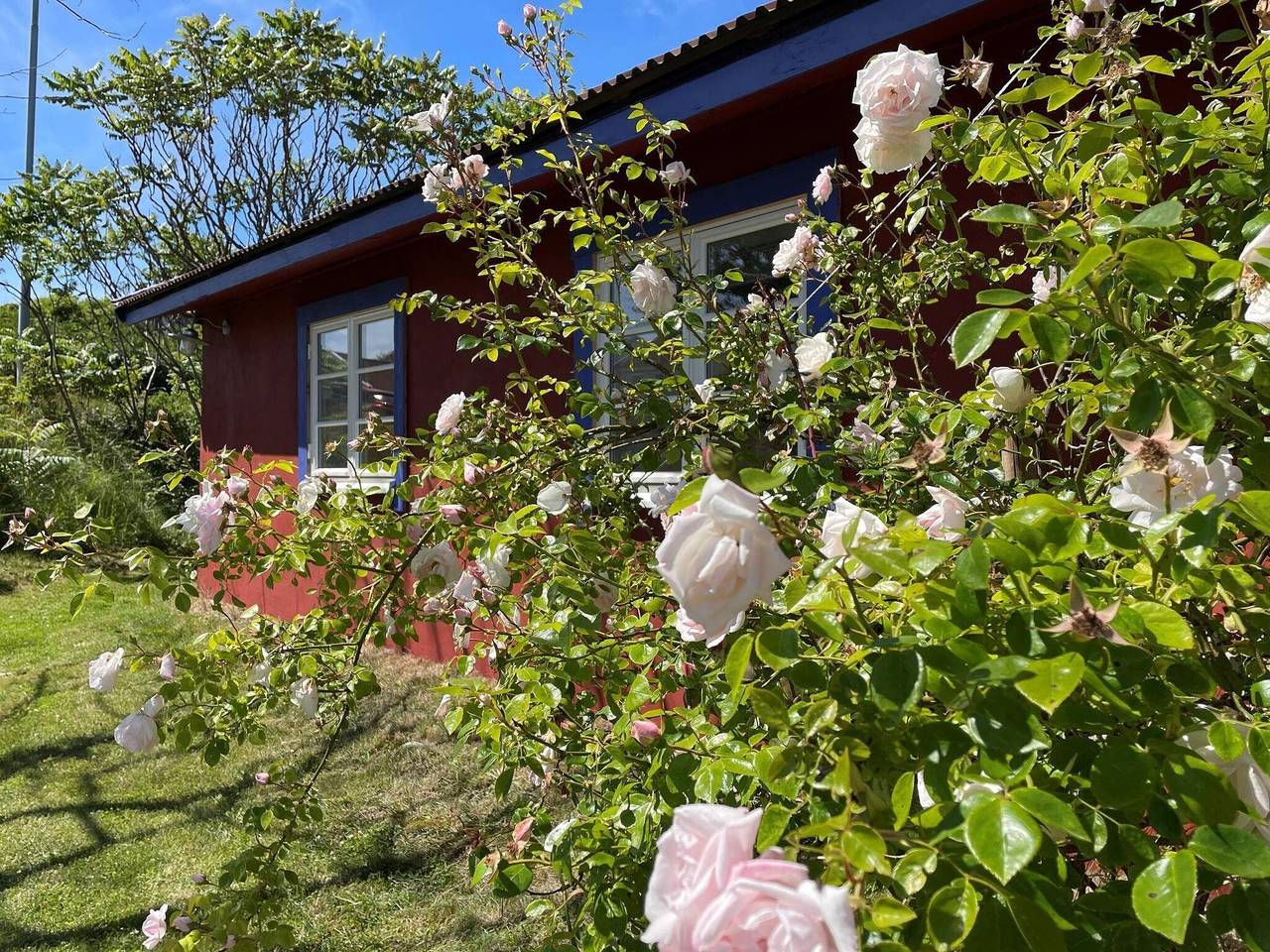 4 personer fritidhus i Skärhamn in Toftenäs, Norra Västkusten