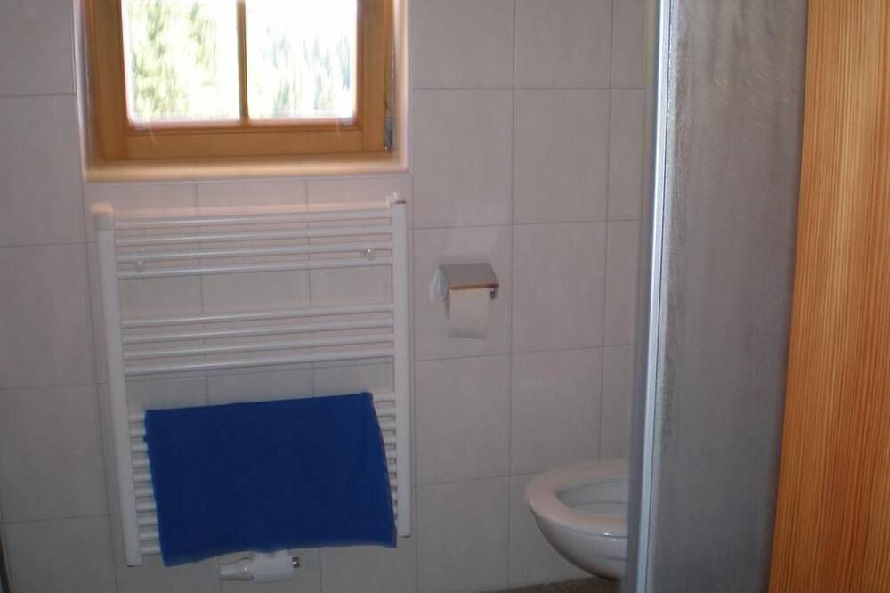 Almrauschhütte Markus - Hütte, Dusche und Bad, Wc, Bergseite in Rottenmanner und Wölzer Tauern, Oberwölz