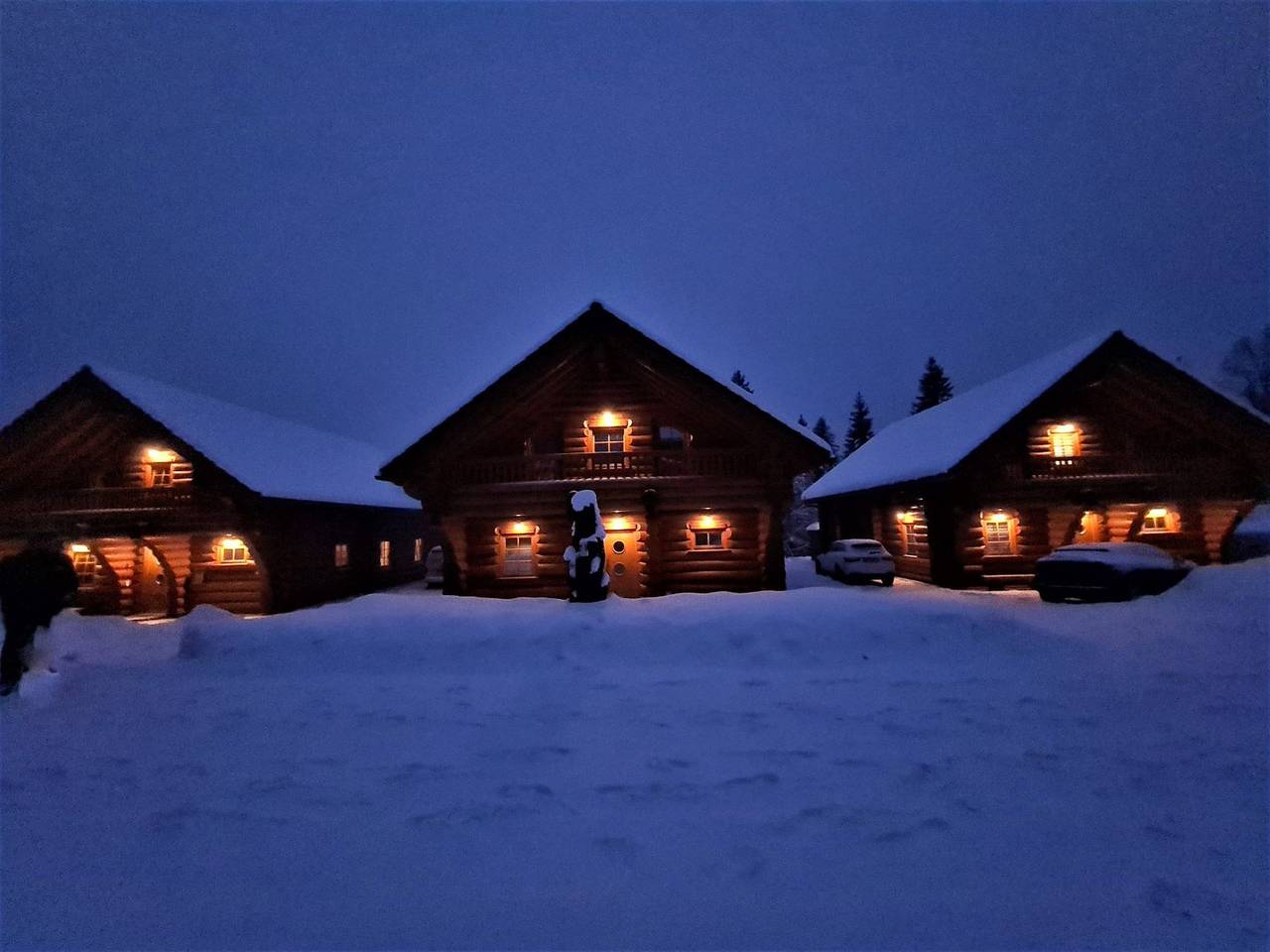 Ferienhaus Blockhaus Chalet Nr. 2 - Ferienhaus Schwarzwald, 184 qm, 6 Schlafzimmer, 2 Bäder, Sauna, Garten. max. 14 Personen in Suedlicher Schwarzwald, Feldberg