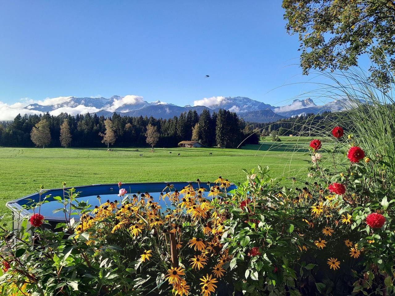Ganze Ferienwohnung, Fewo Alpenblick im Haus Wiedemann - Ferienwohnung Alpenblick in Eisenberg, Bayerisch Schwaben