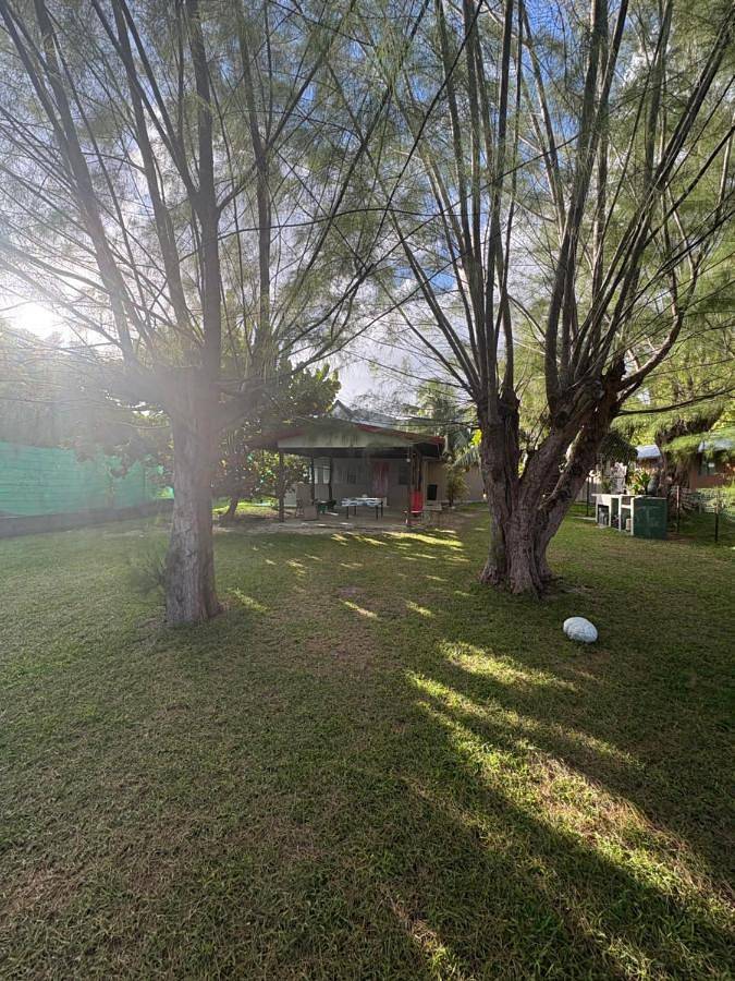 Gîte pour 6 personnes, avec terrasse et jardin dans Fare - 2